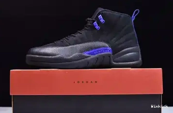 12 AIR “DARK JORDAN CONCORD” CT8013-005 0526